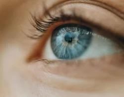 vision3